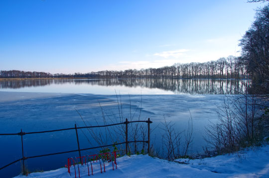 Winter am Bokeler See